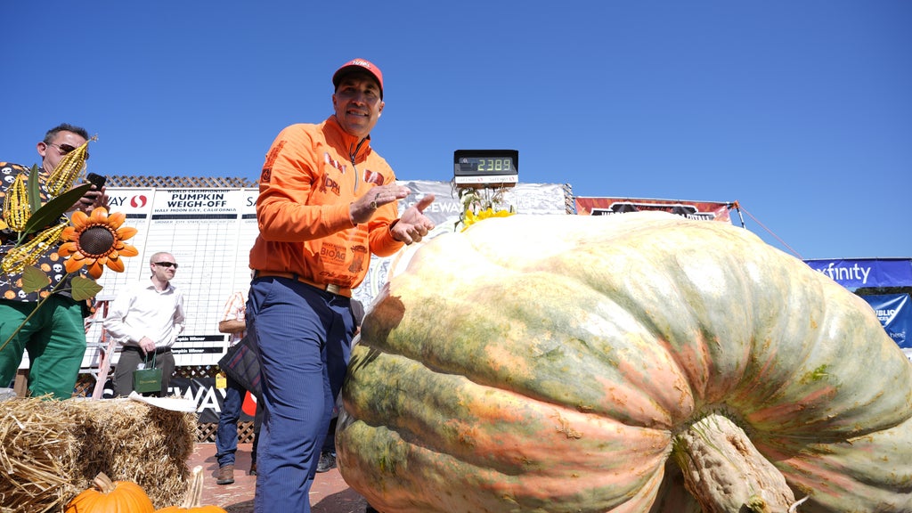 Minnesota man drives hauls giant pumpkin over 2,000 miles to California competition โ CBS Bay Area (KPIX), San Ramon Community news