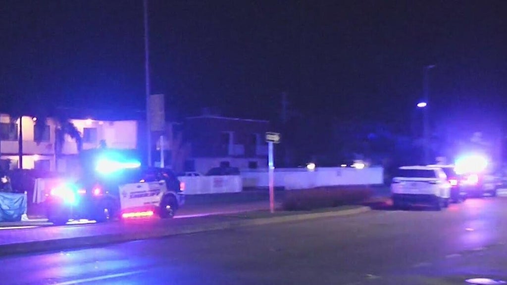 Woman accused of killing man in Dania Beach hit-and-run, BSO says — CBS Miami, San Ramon Community news