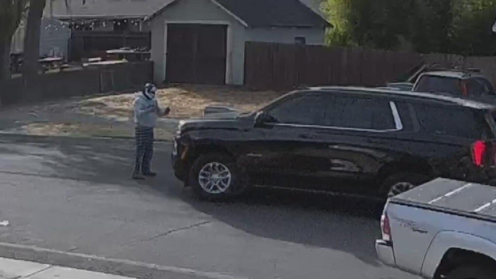 Woodland police dispute DHS account of ICE agent's collision with pedestrian — CBS Bay Area (KPIX), San Ramon Health news
