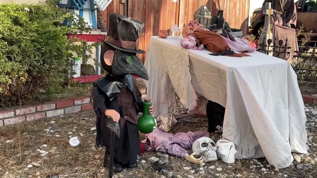 Halloween decorations worth roughly $700 stolen from San Leandro home — CBS Bay Area (KPIX), San Ramon Schools news