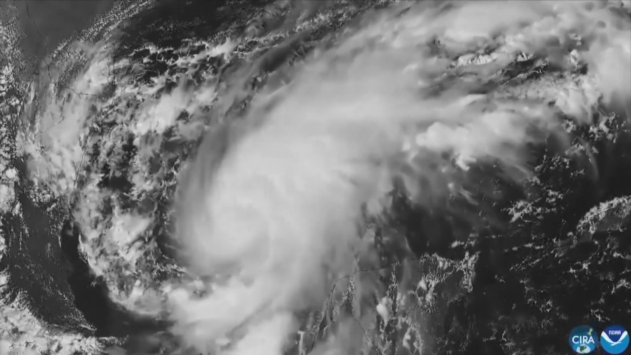 Hurricane Isaias: Residents board up windows and National Guard troops deploy as storm nears US Gulf Coast
— ABC 7 Bay Area, San Ramon Sports news