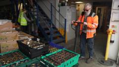 Food aid charity under pressure from fuel costs — BBC Business, San Ramon Business news