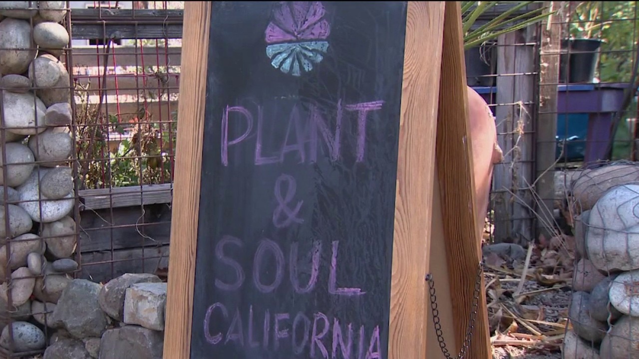 San Jose community garden faces possible eviction — KTVU FOX 2 Bay Area, San Ramon Schools news