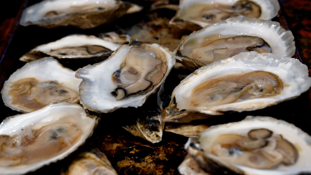 Sewage leak temporarily halts Tomales Bay oyster harvest — KTVU FOX 2 Bay Area, San Ramon Business news