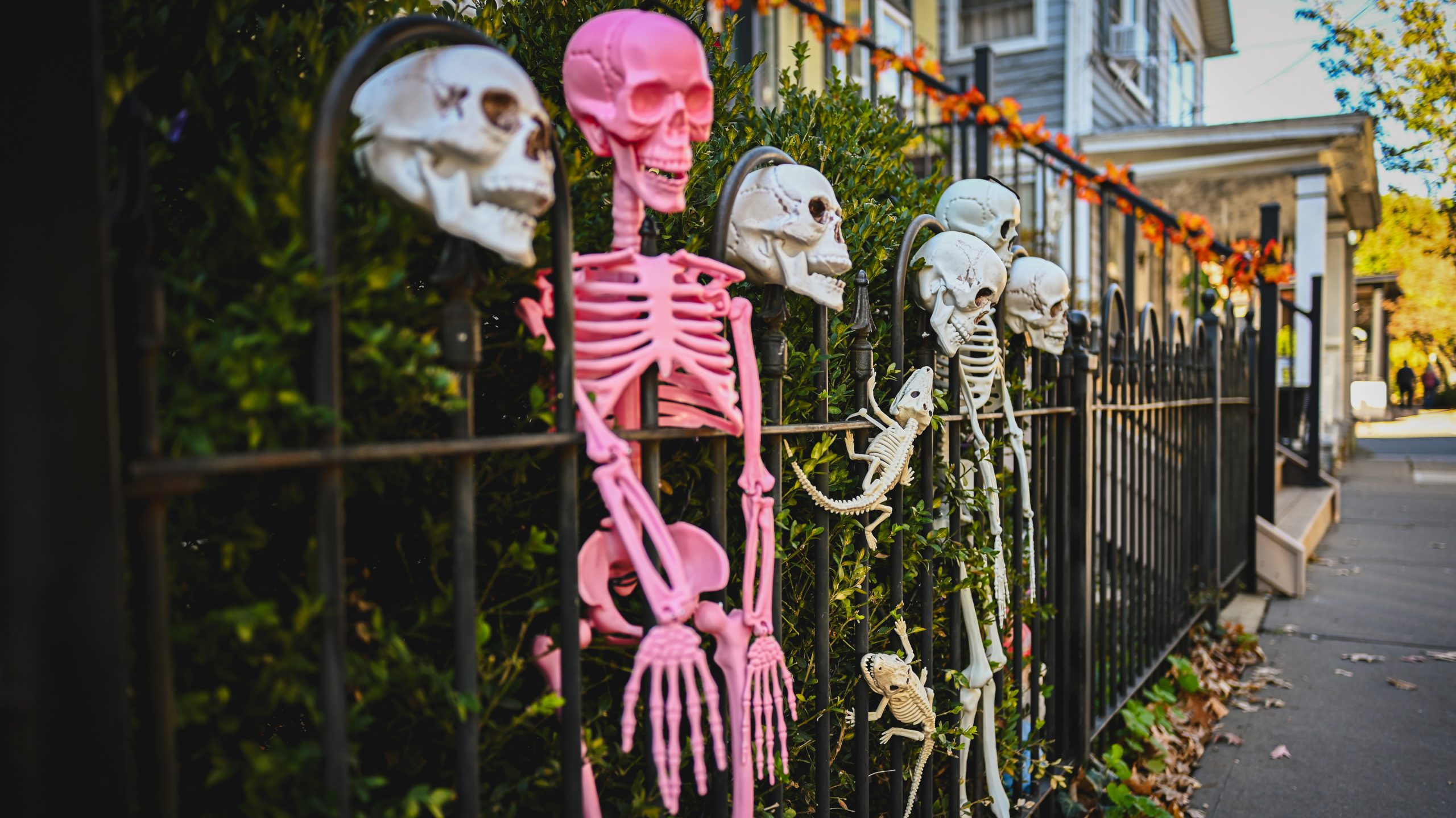 America's best cities for Halloween, ranked — KTVU FOX 2 Bay Area, San Ramon Community news