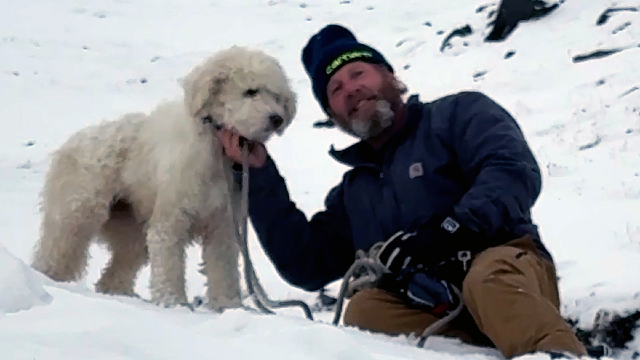 Watch: Dog lost in Alaska avalanche miraculously found 2 days later — KTVU FOX 2 Bay Area, San Ramon Community news
