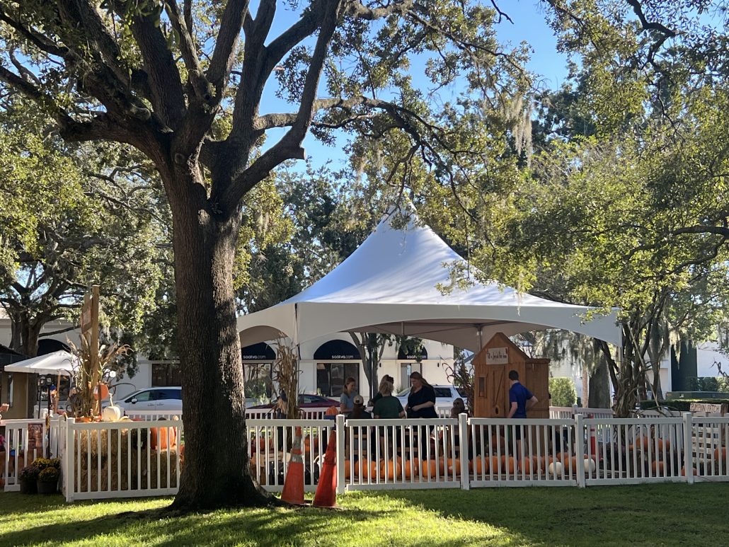 Photo Gallery: First Pumpkin Patch near City Hall — Winter Park Voice